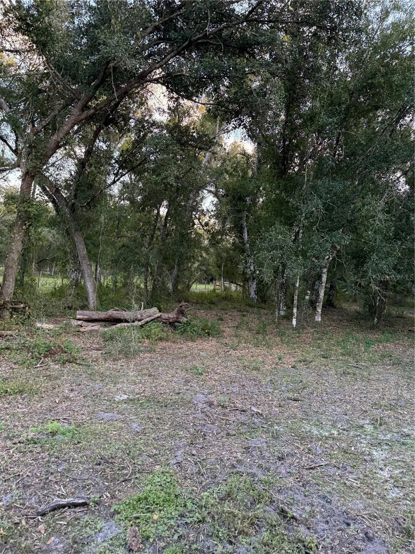 SE Brown Road Arcadia FL 34266
