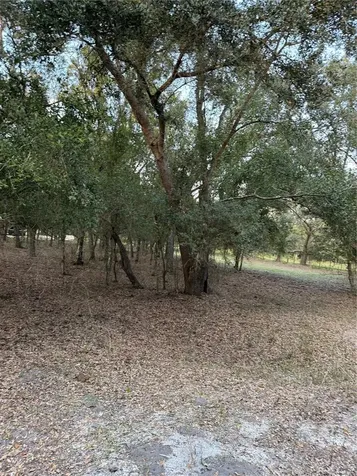 SE Brown Road Arcadia FL 34266