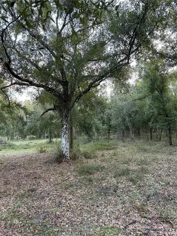 SE Brown Road Arcadia FL 34266