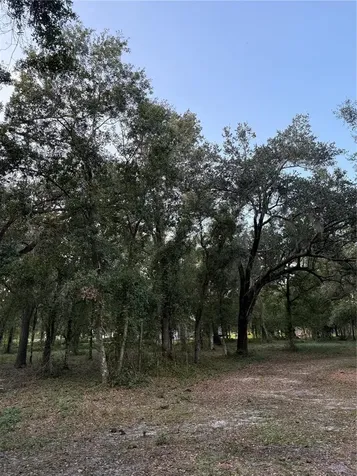 SE Brown Road Arcadia FL 34266