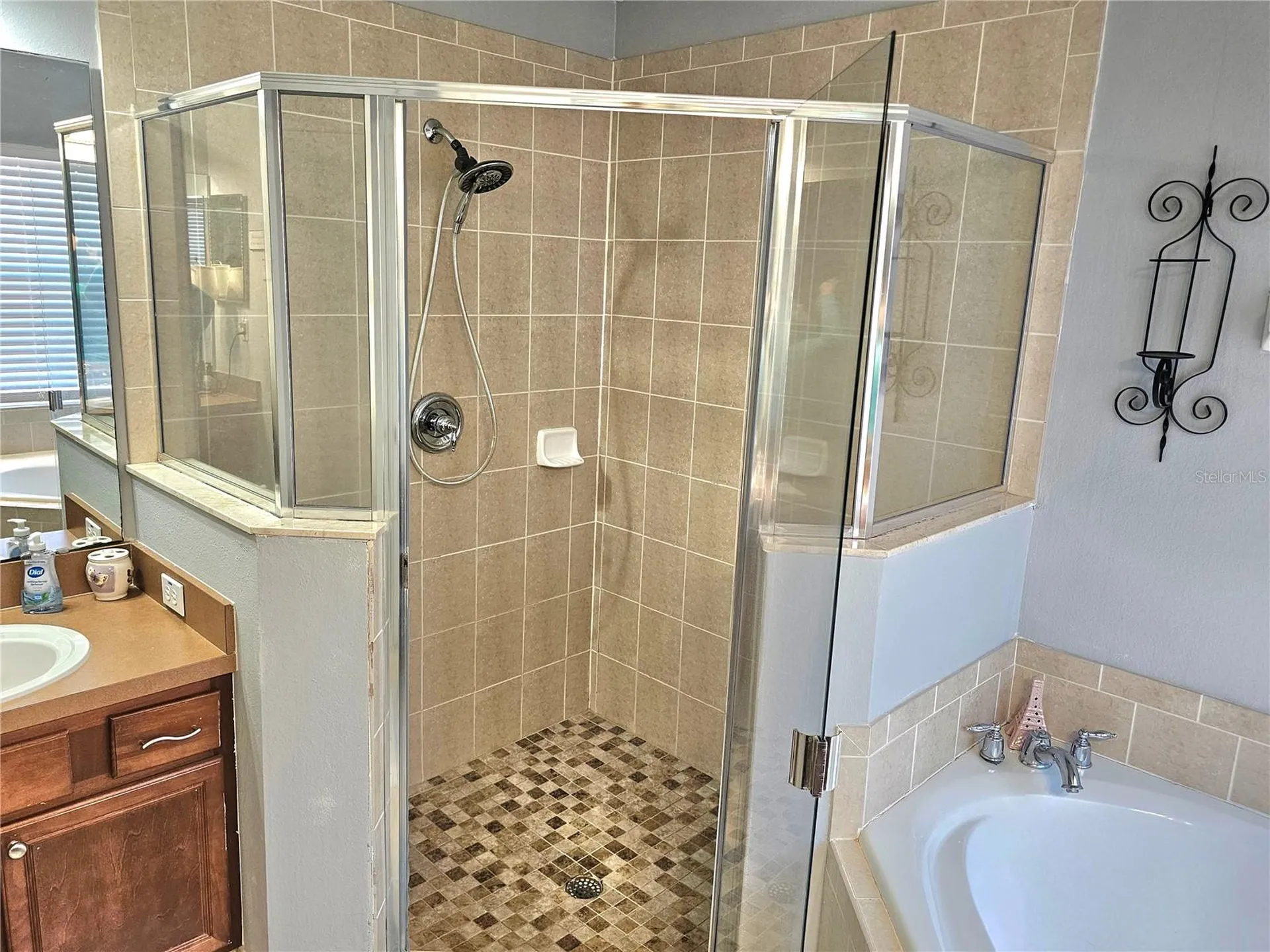 34224 Shadewood Circle Leesburg FL 34788