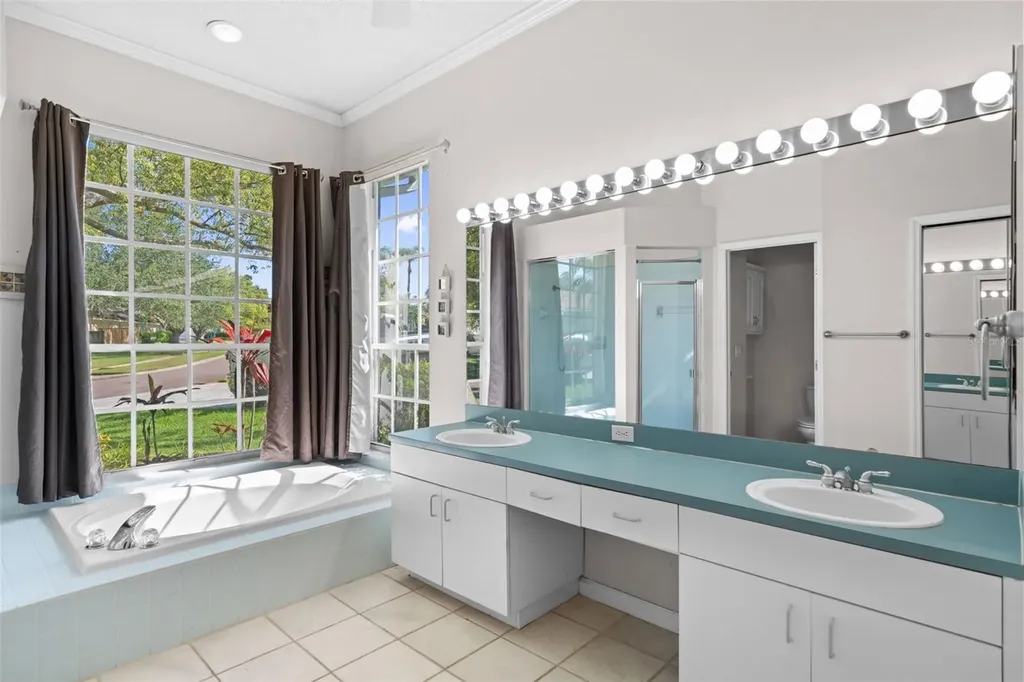 751 House Wren Circle Palm Harbor FL 34683