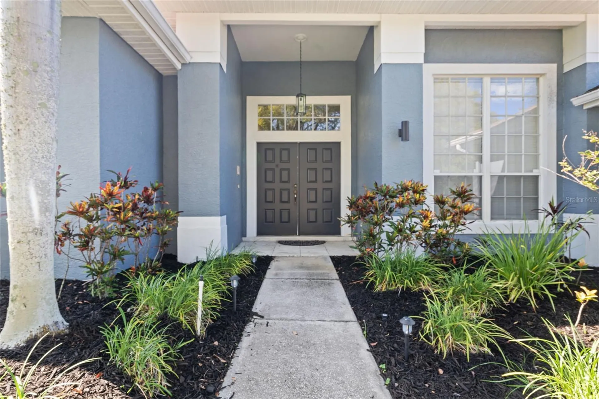 751 House Wren Circle Palm Harbor FL 34683