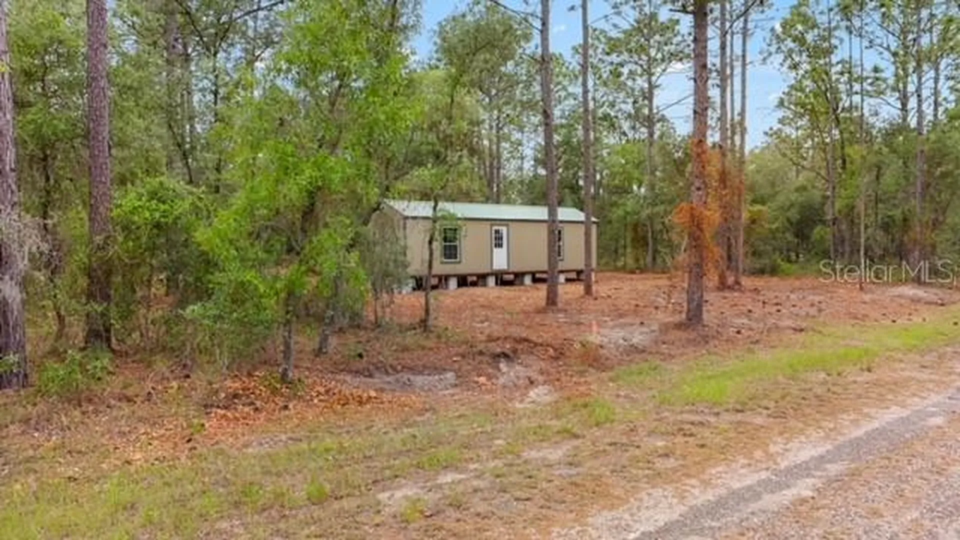 10890 SE 133rd Avenue Dunnellon FL 34431
