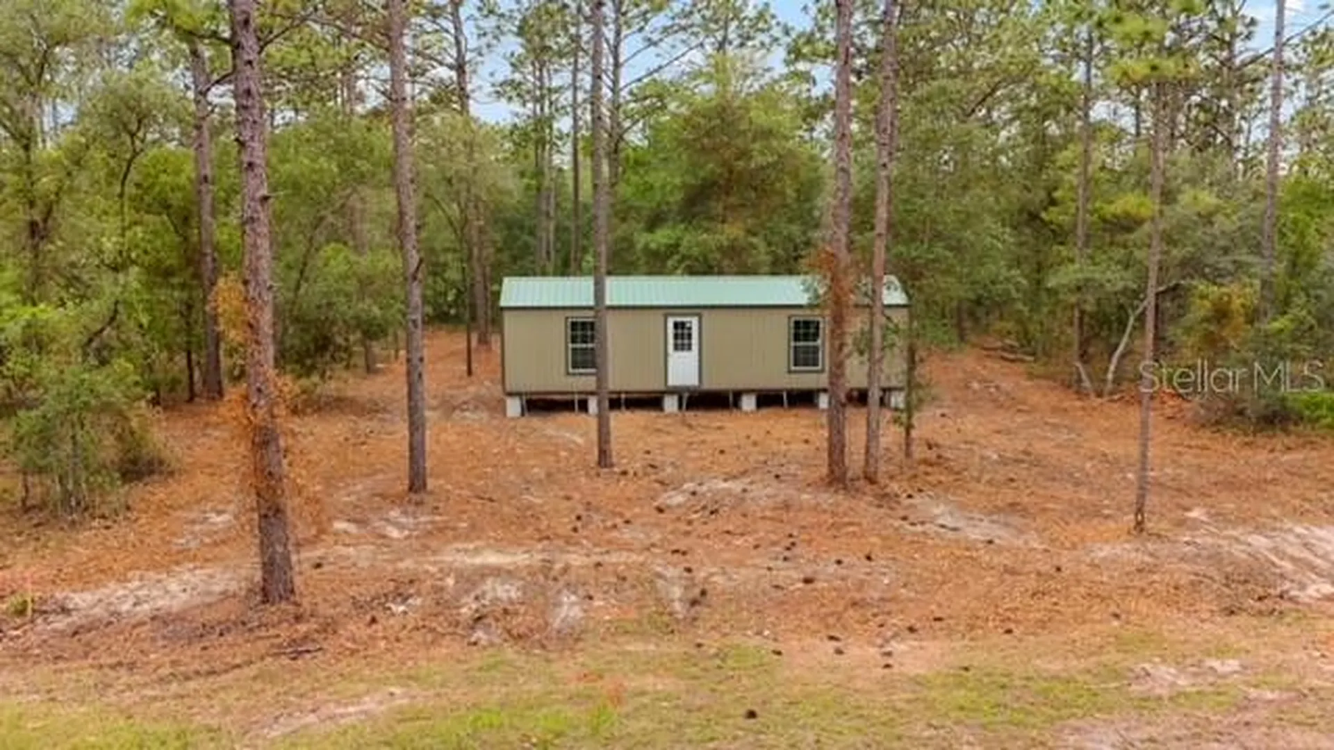 10890 SE 133rd Avenue Dunnellon FL 34431