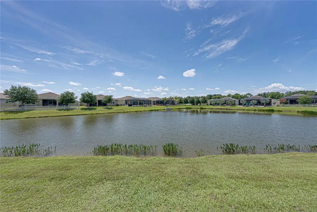31785 Tansy Bend Wesley Chapel FL 33545