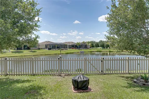 31785 Tansy Bend Wesley Chapel FL 33545
