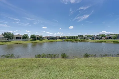 31785 Tansy Bend Wesley Chapel FL 33545