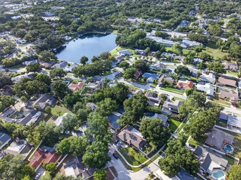 2883 Mandarin Place Palm Harbor FL 34684