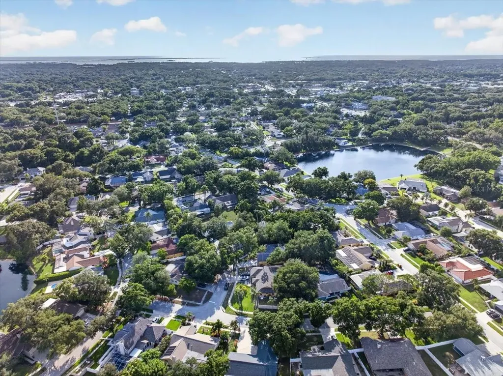 2883 Mandarin Place Palm Harbor FL 34684