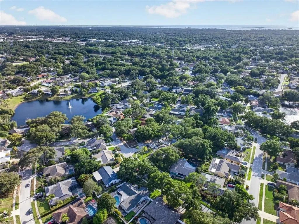 2883 Mandarin Place Palm Harbor FL 34684