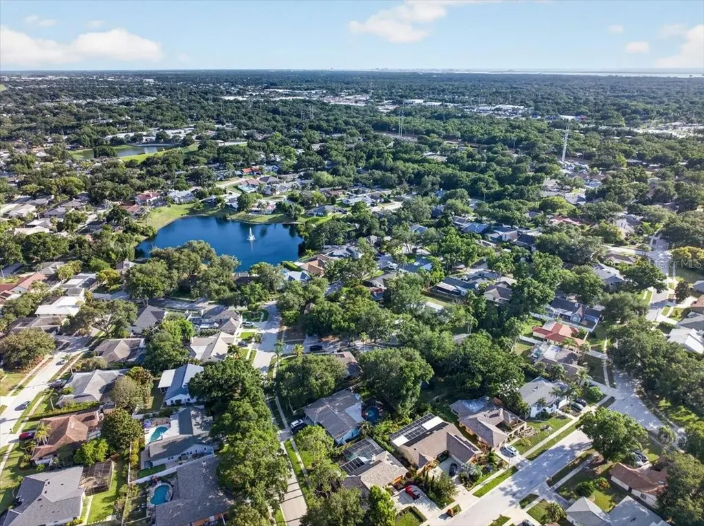 2883 Mandarin Place Palm Harbor FL 34684