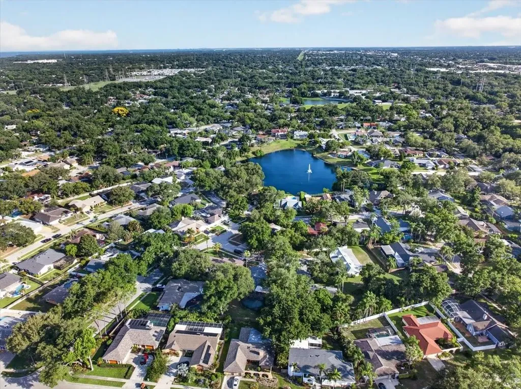 2883 Mandarin Place Palm Harbor FL 34684