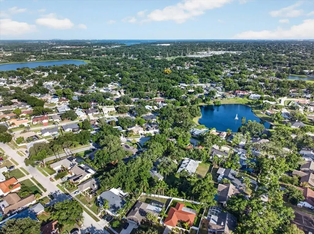 2883 Mandarin Place Palm Harbor FL 34684