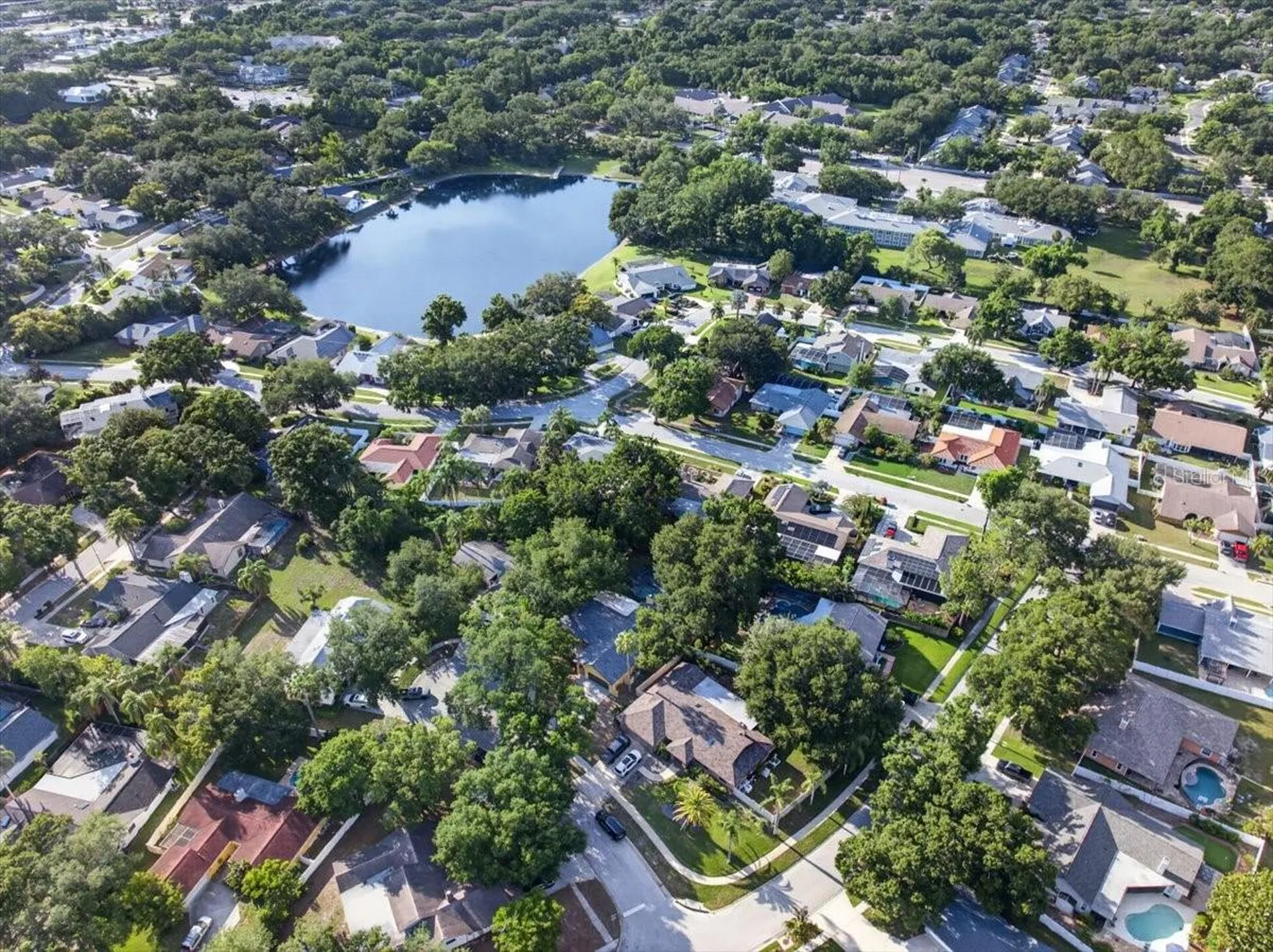 2883 Mandarin Place Palm Harbor FL 34684