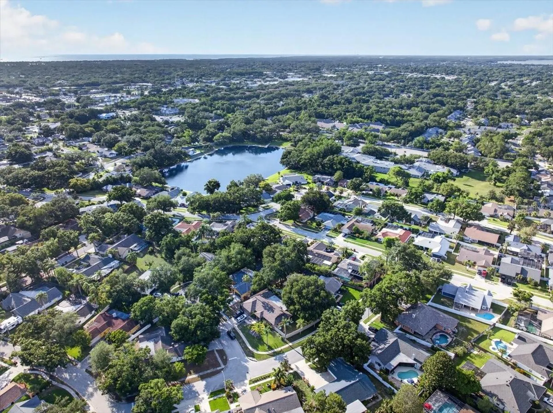 2883 Mandarin Place Palm Harbor FL 34684