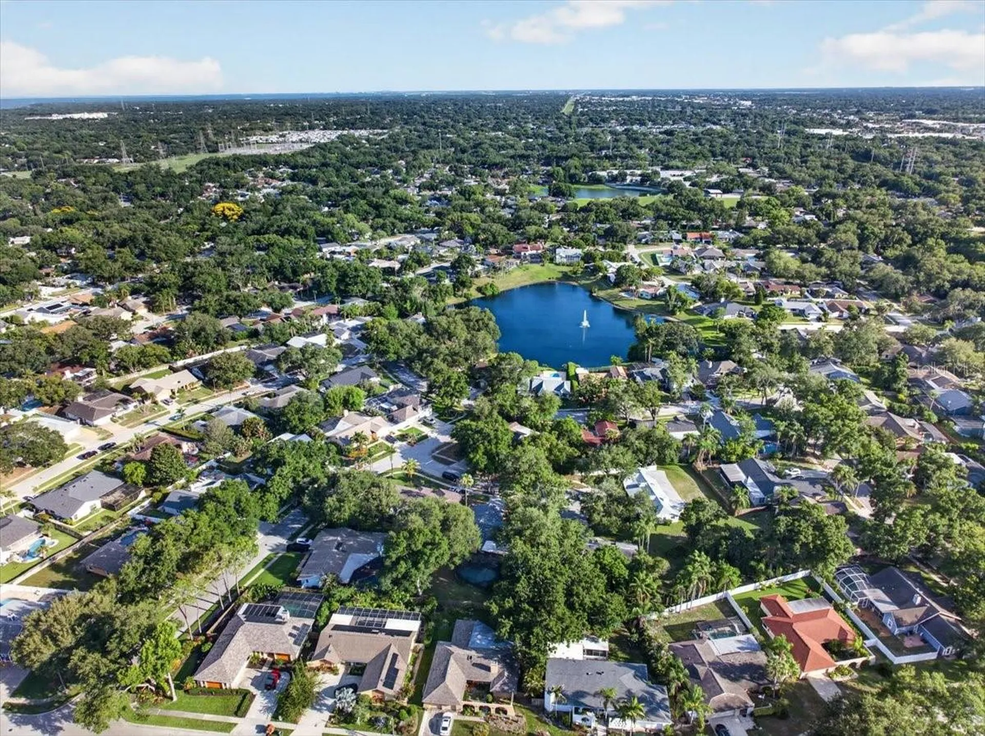 2883 Mandarin Place Palm Harbor FL 34684