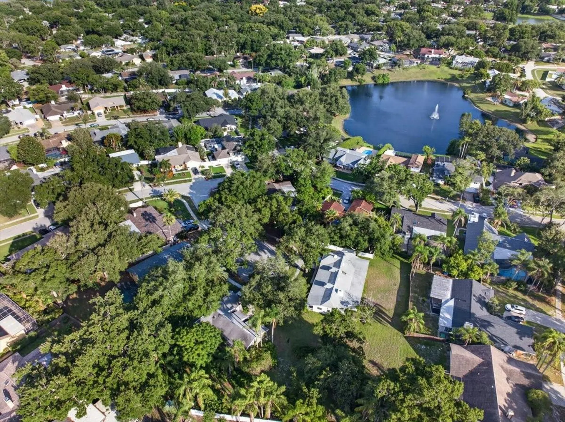2883 Mandarin Place Palm Harbor FL 34684