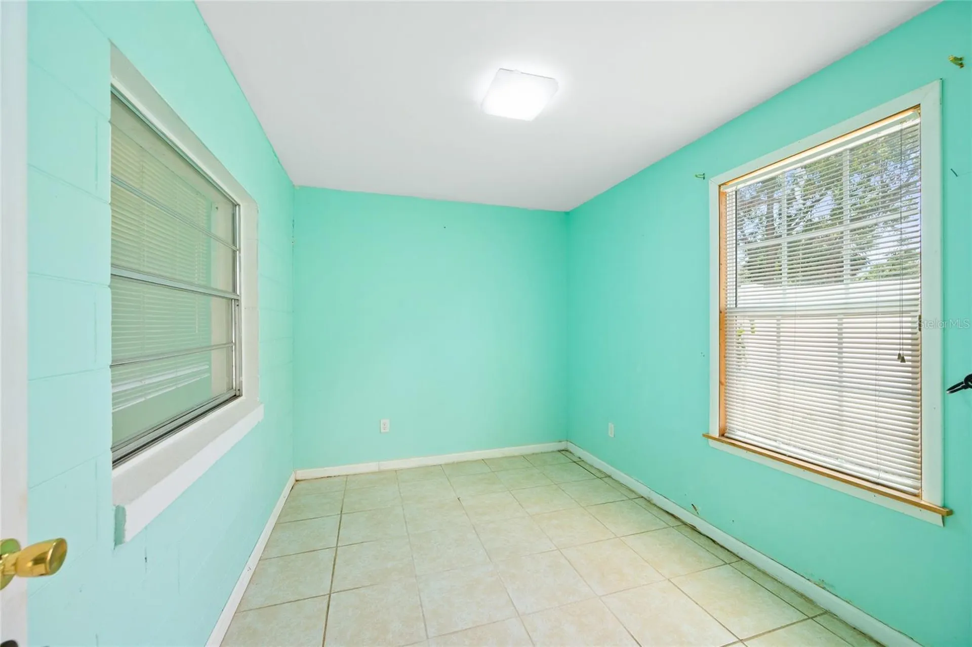 1230 E 1st Avenue Mount Dora FL 32757