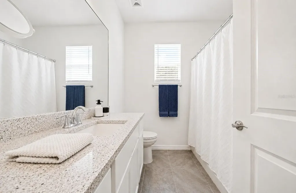 31398 Ancient Sage Road Wesley Chapel FL 33545