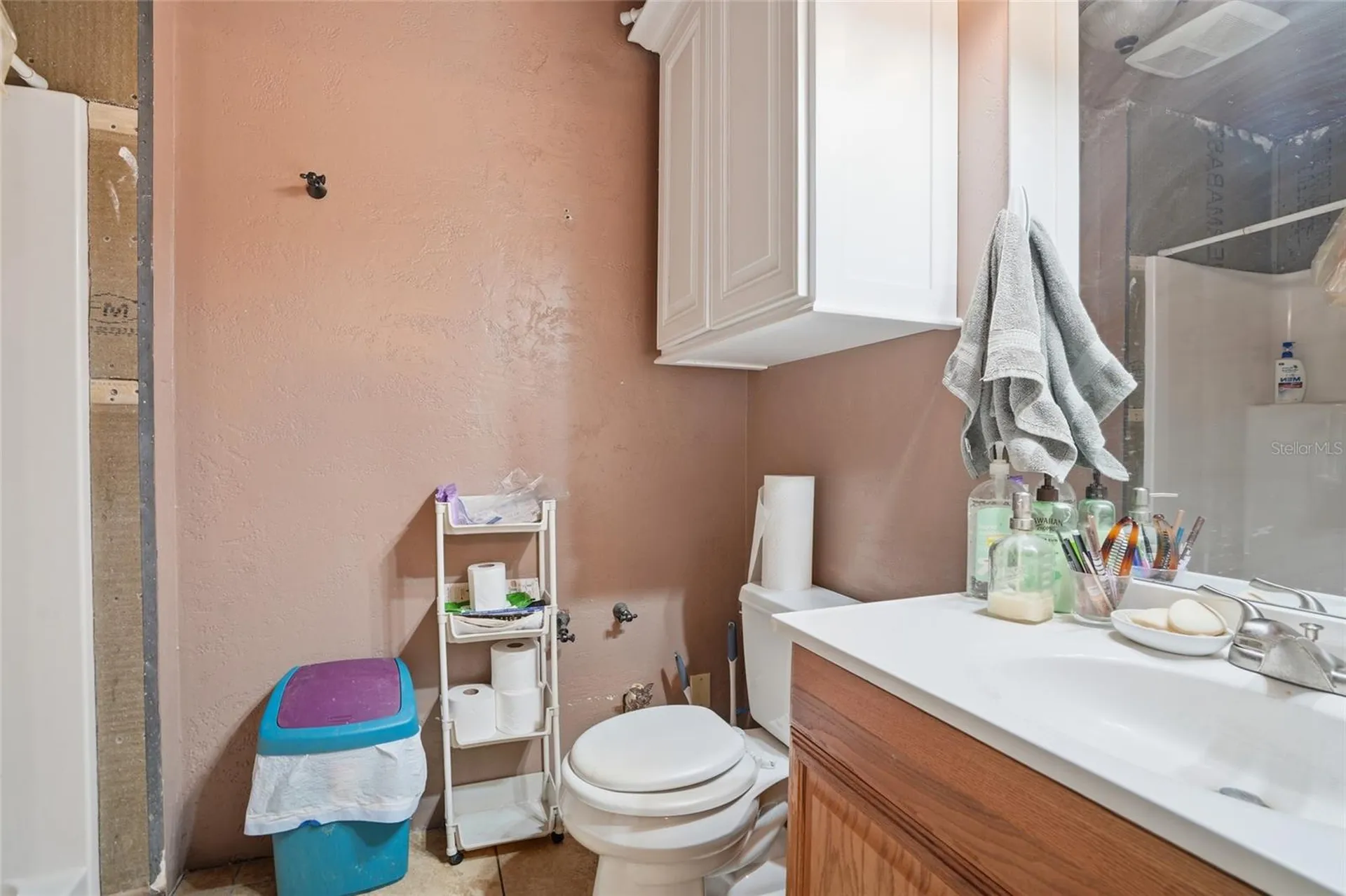 2347 Brookside Drive Lutz FL 33558
