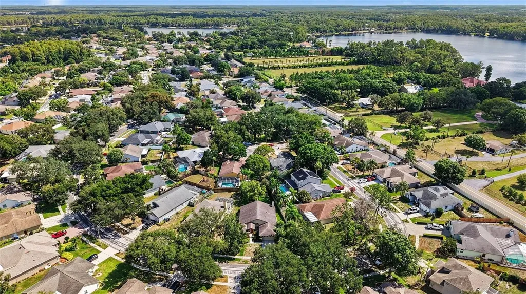 19610 Wyndmill Circle Odessa FL 33556