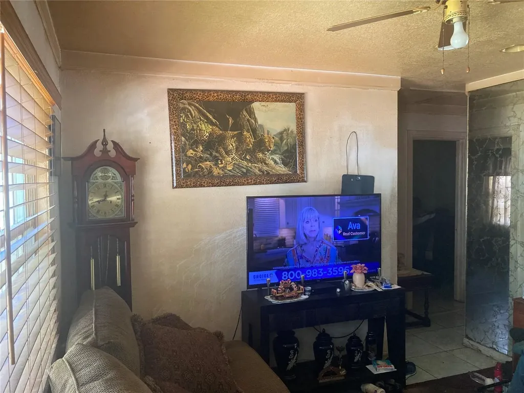 1716 E Chelsea Street Tampa FL 33610