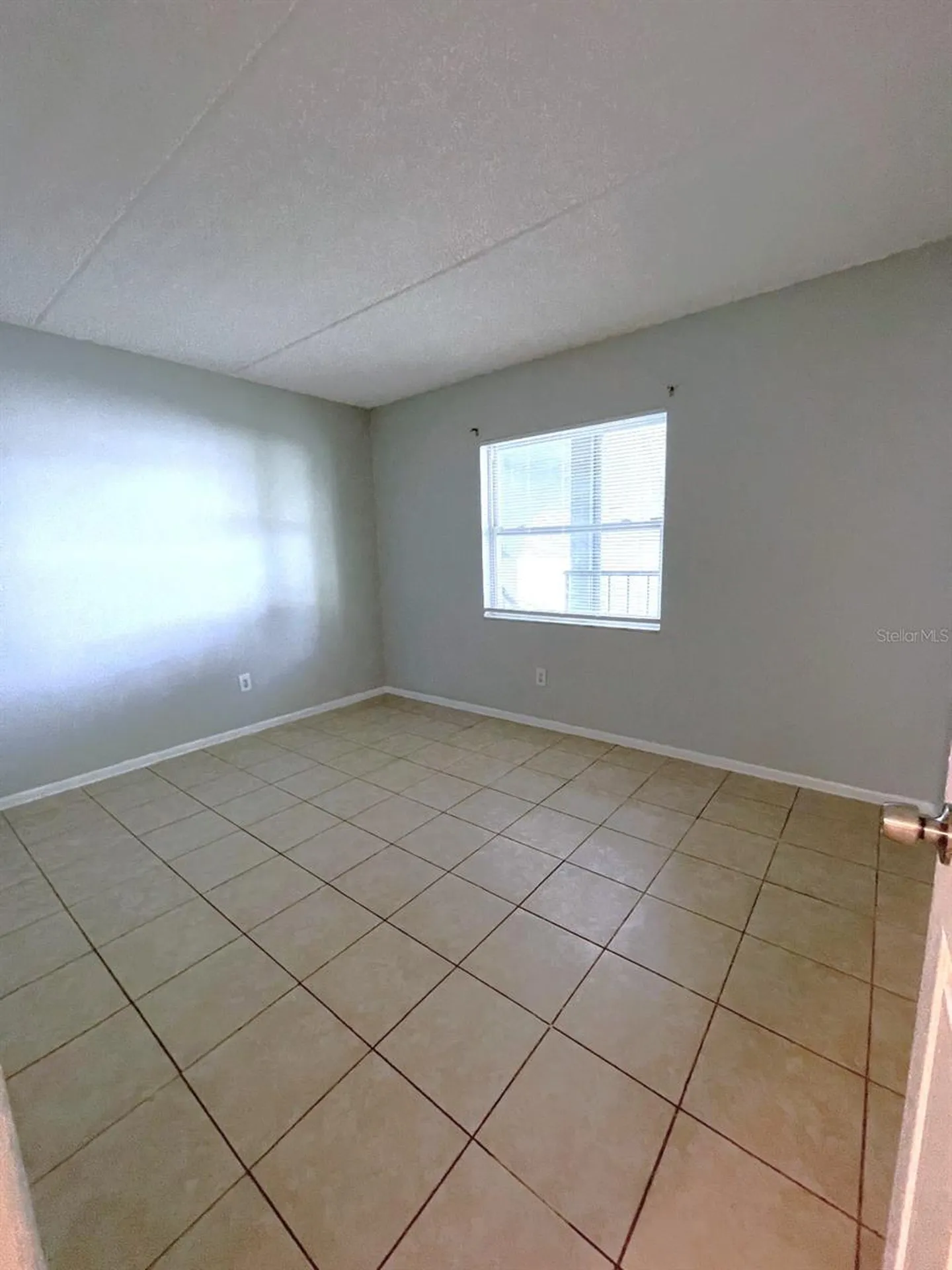 2835 Somerset Park Drive Tampa FL 33613