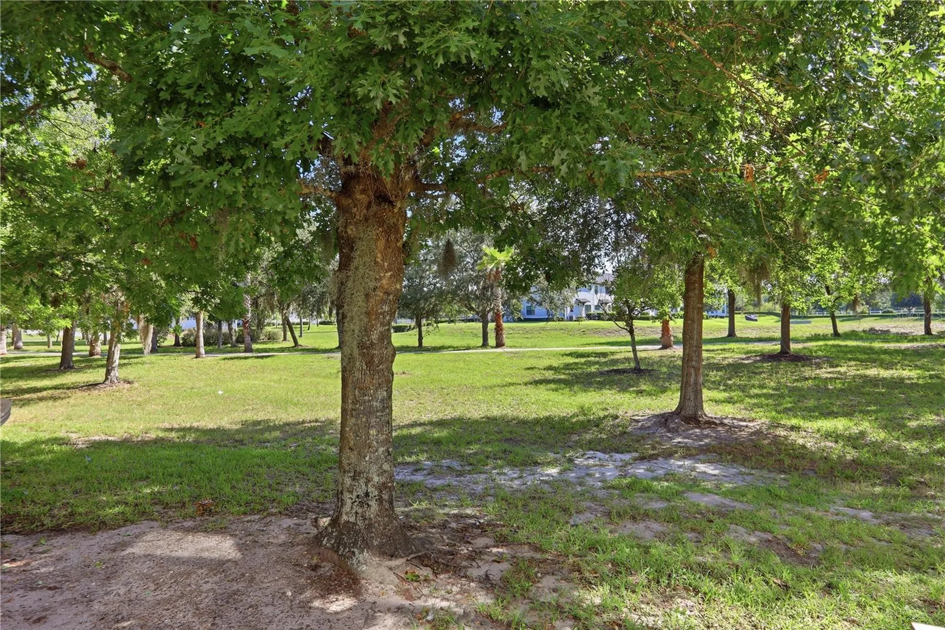 10291 Park Commons Drive Orlando FL 32832