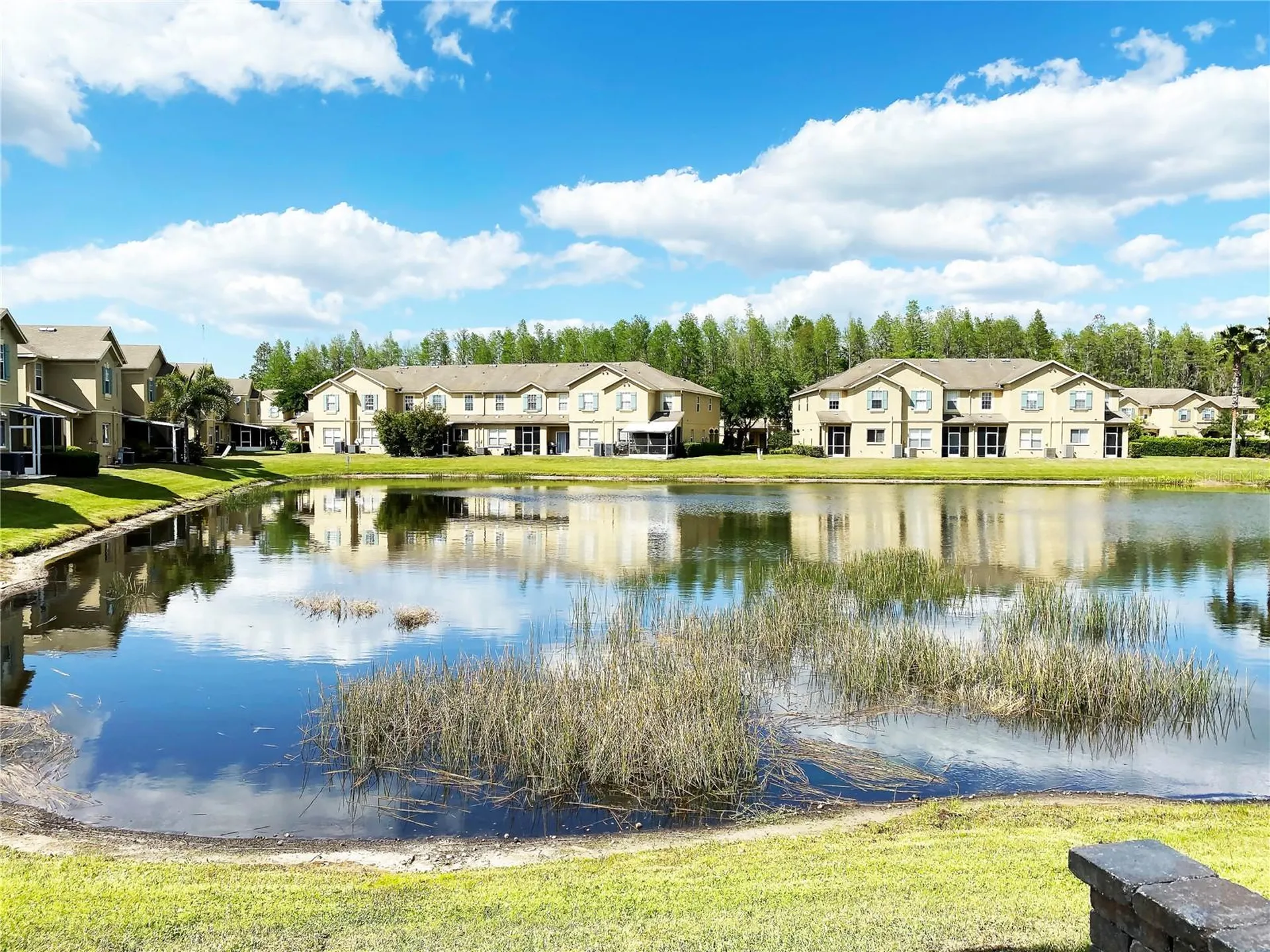 17449 Stinchar Drive Land O Lakes FL 34638