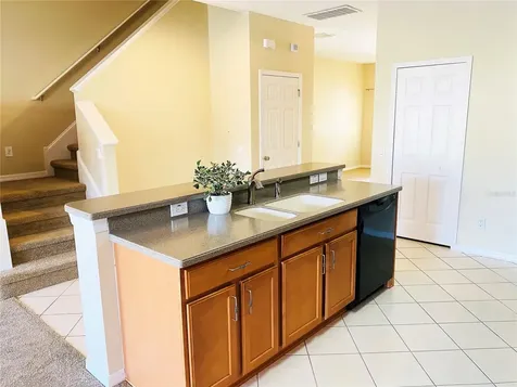 17449 Stinchar Drive Land O Lakes FL 34638