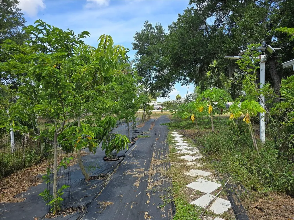 2515 16th Avenue Drive E Bradenton FL 34208