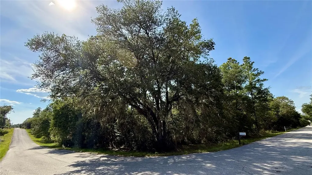Undetermined Dunnellon FL 34431