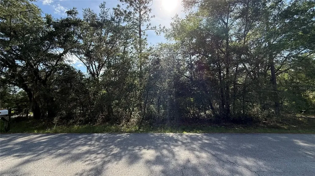 Undetermined Dunnellon FL 34431