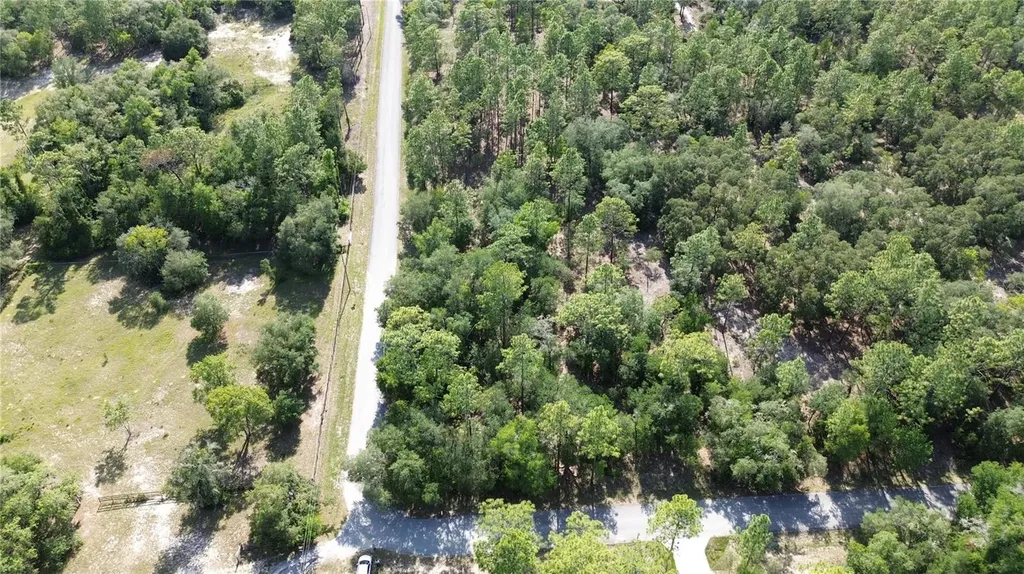 Undetermined Dunnellon FL 34431