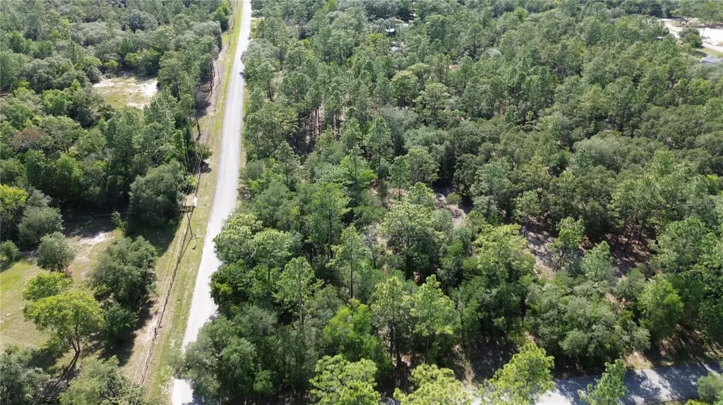 Undetermined Dunnellon FL 34431