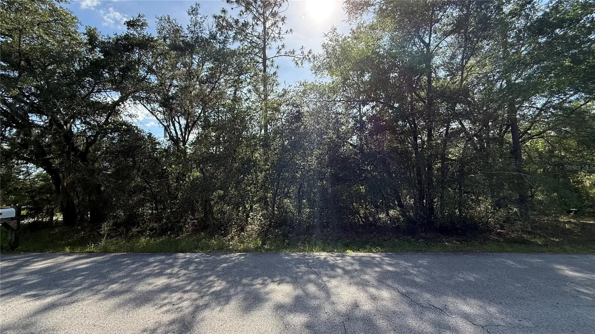 Undetermined Dunnellon FL 34431