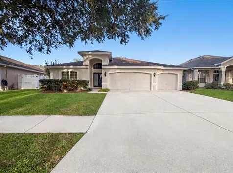 19606 Morden Blush Drive Lutz FL 33558