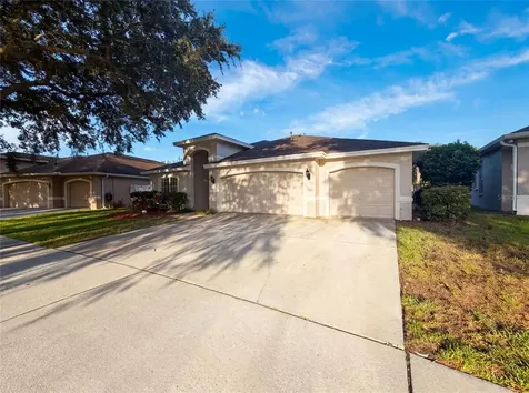19606 Morden Blush Drive Lutz FL 33558