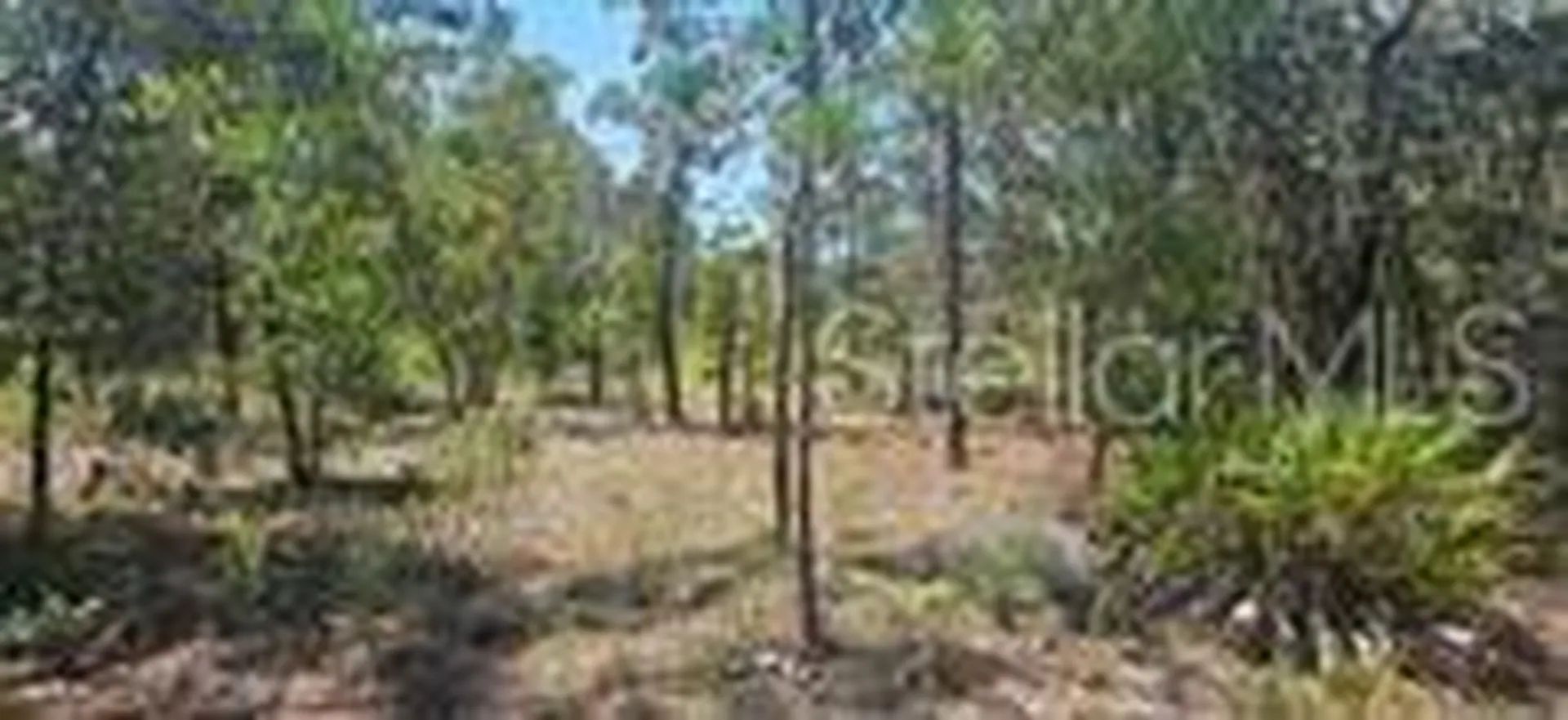 000 NE 67th Lane Bronson FL 32621