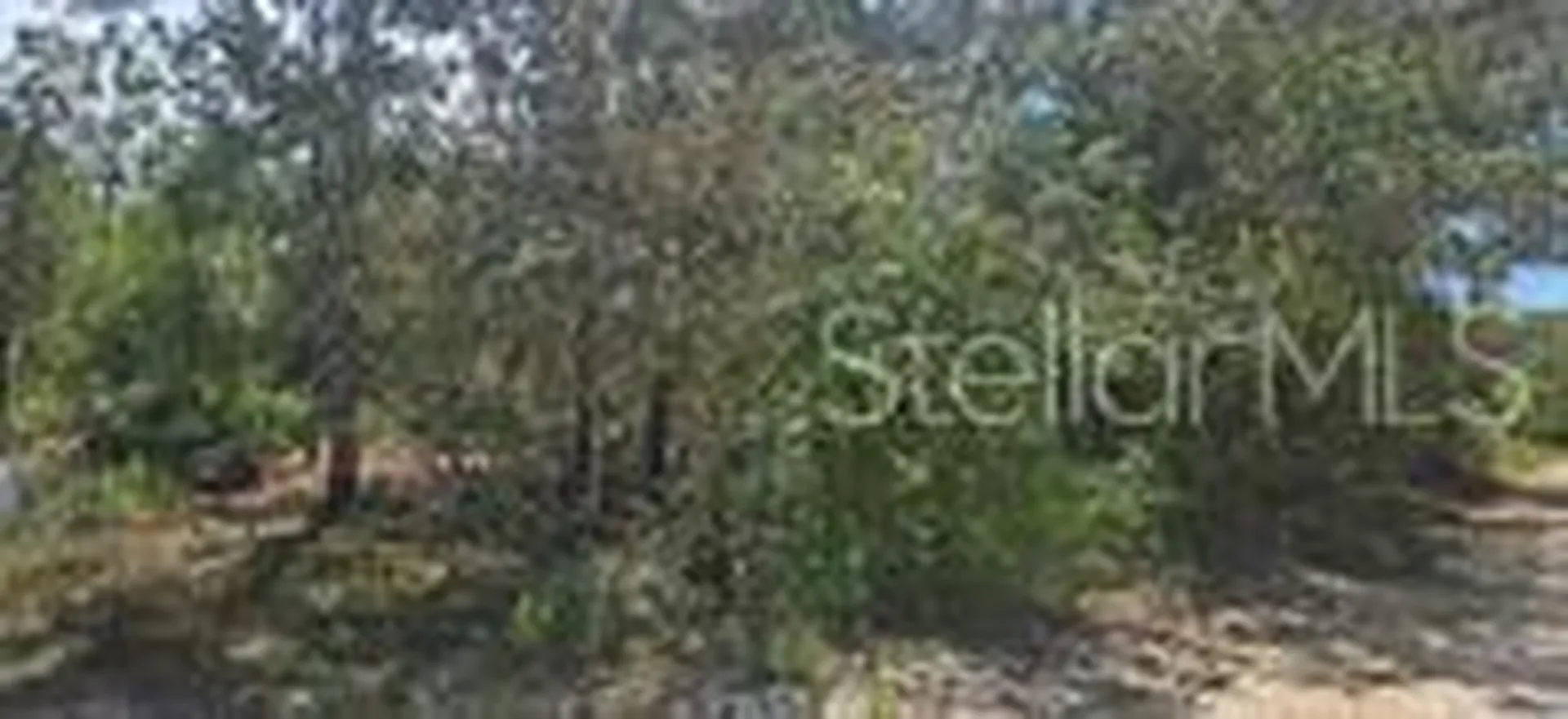000 NE 67th Lane Bronson FL 32621