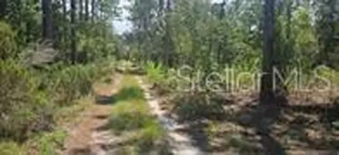 000 NE 67th Lane Bronson FL 32621