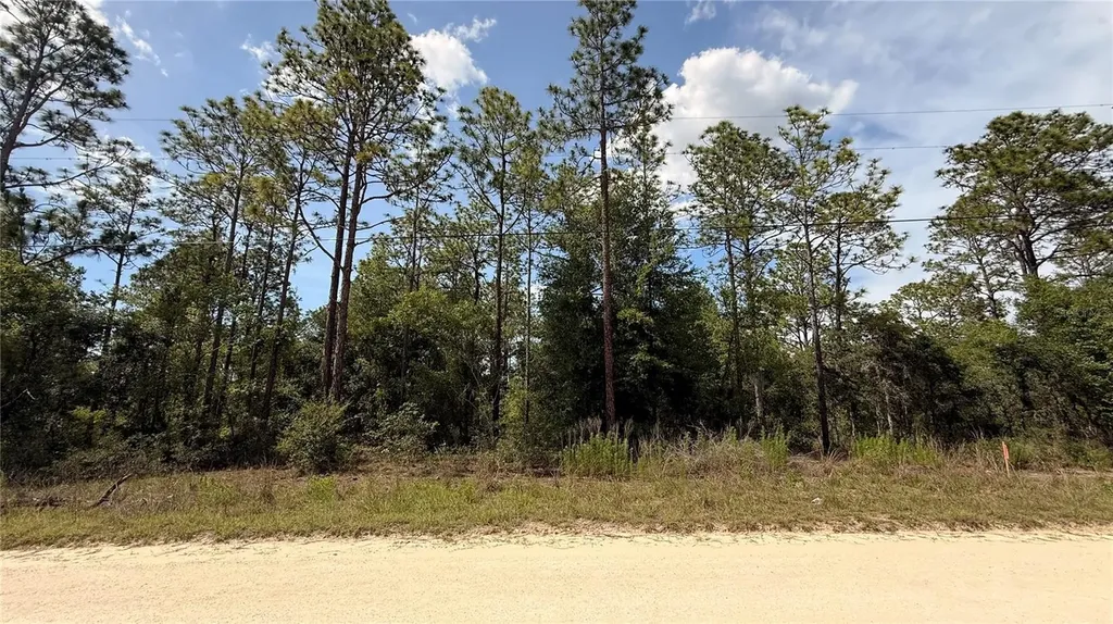 Undetermined Dunnellon FL 34432