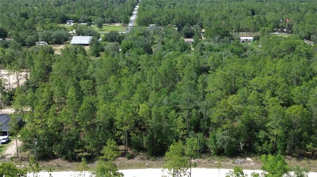 Undetermined Dunnellon FL 34432