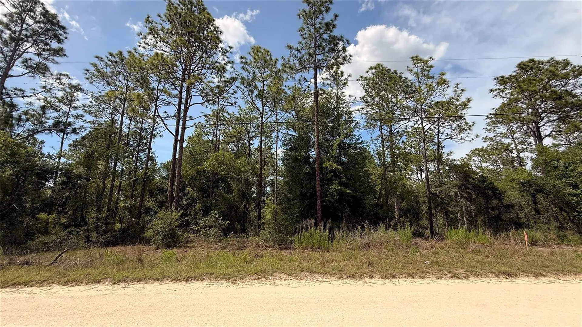Undetermined Dunnellon FL 34432