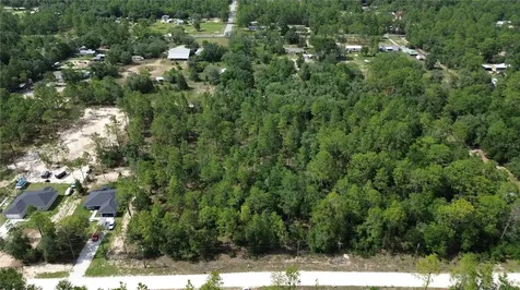 Undetermined Dunnellon FL 34432