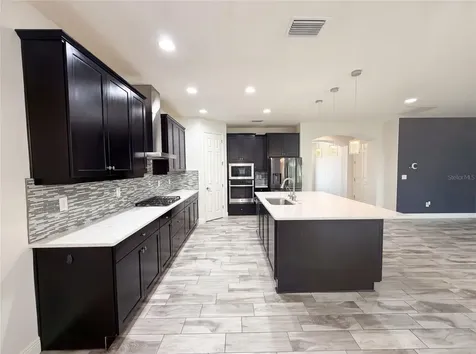 21797 Briske Morning Avenue Land O Lakes FL 34637