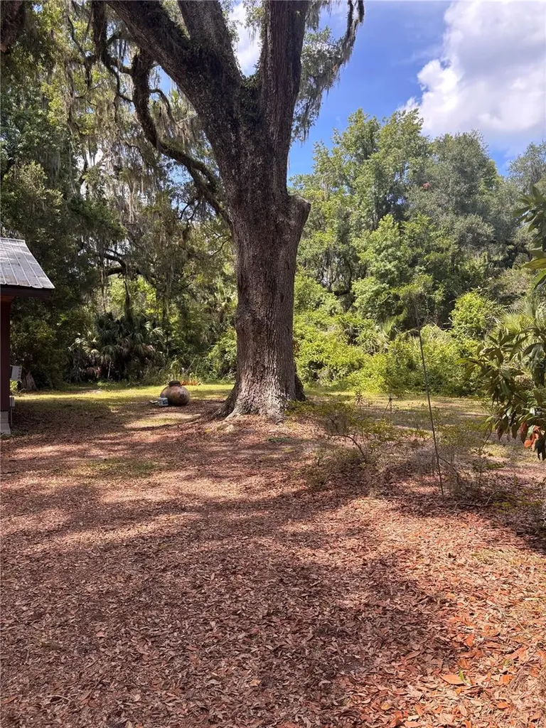 3301 NE 162nd Street Citra FL 32113