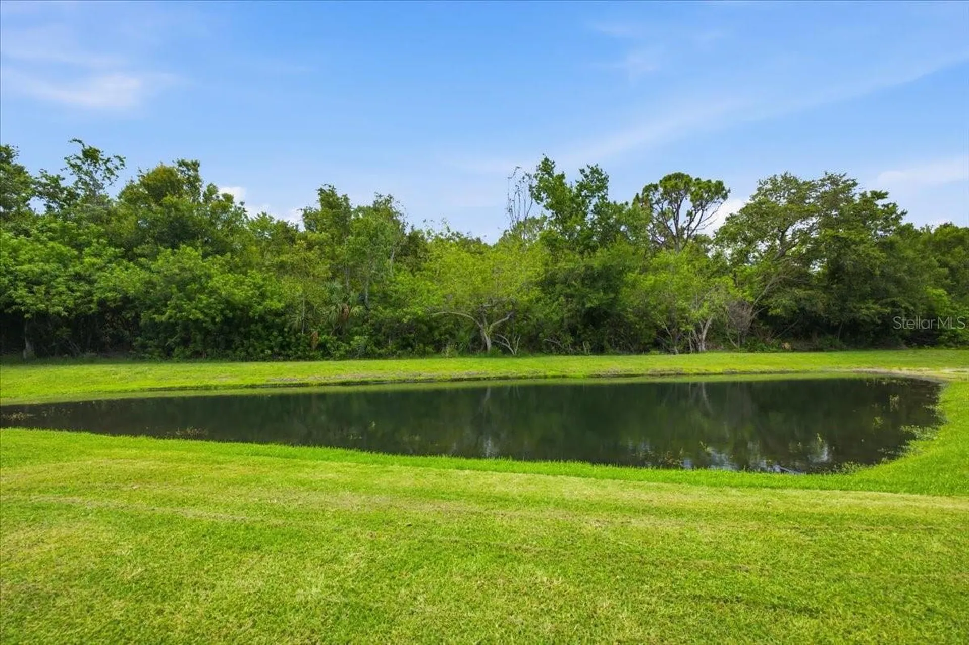 392 Tavernier Circle Oldsmar FL 34677