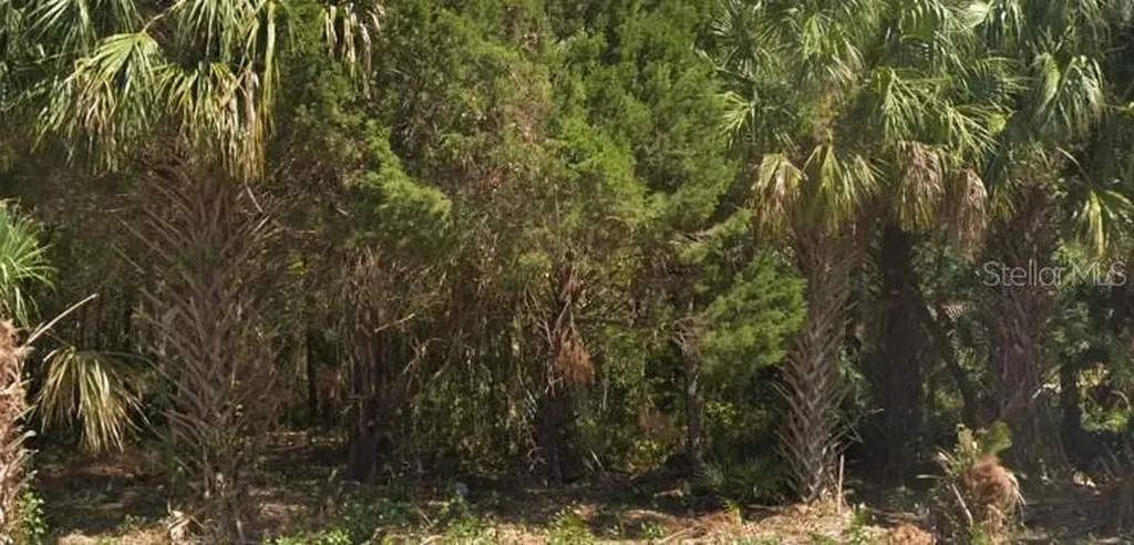 4030 S Kings Avenue Homosassa FL 34446